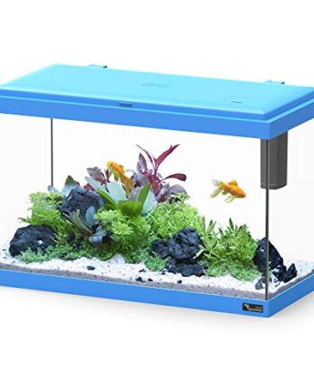 Aquatlantis Aquarium Explorer Rome niebieski, 1 sztuka (1 x 4880 g)