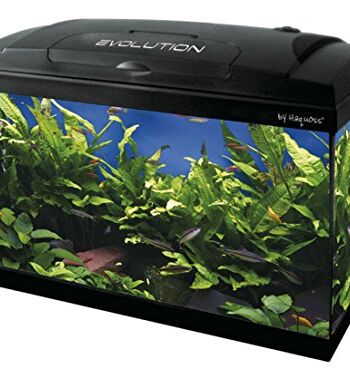 Haquoss Evolution 50 akwarium 50 x 30 x 44 wys. cm, 46 litrów, z oświetleniem LED 6 W, w komplecie z wyposażeniem