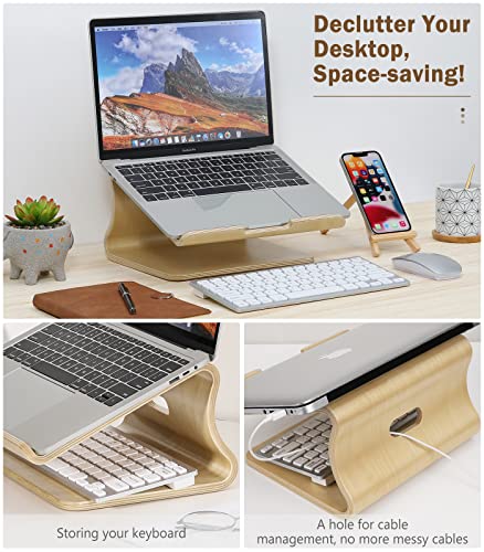 MoKo Wooden Laptop Stand Compatible with MacBook Air/Pro 13/Pro 15/iPad Pro 12.9/Dell XPS/Surface/Chromobook 11-17 inch, Ergonomic Cooling Computer Holder Wood Notebook Desktop Stand, Brich - obrazek 3