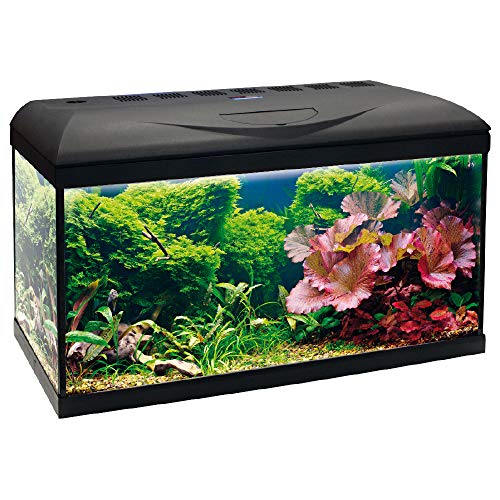 Wave A2001846 Basic 80 LED - obrazek 3