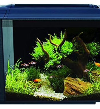 Fluval Spec Xv Akwarium, Czarny, 60 l
