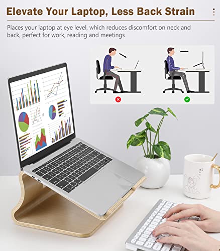 MoKo Wooden Laptop Stand Compatible with MacBook Air/Pro 13/Pro 15/iPad Pro 12.9/Dell XPS/Surface/Chromobook 11-17 inch, Ergonomic Cooling Computer Holder Wood Notebook Desktop Stand, Brich - obrazek 4