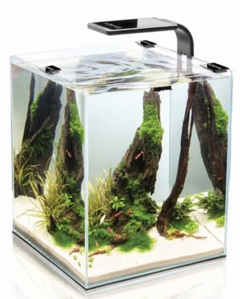 AQUAEL 122976 SHRIMP SET DAY&NIGHT 10, czarny, 3.26 kg