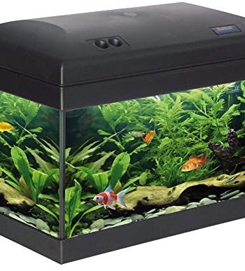 Haquoss Evolution 40 akwarium 40 x 23 x 34 wys. cm, 21 litrów, z oświetleniem LED 4 W, w komplecie wyposażenie