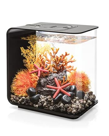 Biorb 72029 Akwarium, 34.5 x 25 x 45.8 cm, Czarny