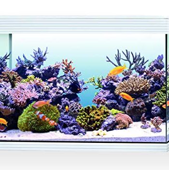 Askoll AA350077 ASKOLL PURE XL HC MARINE WHITE