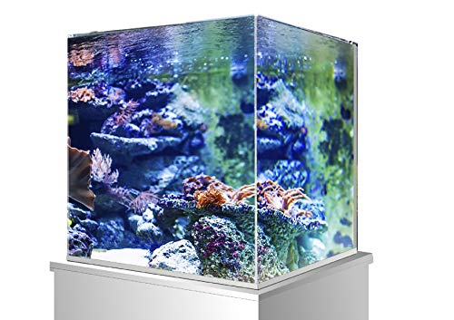 Wave A2001995 Tank Zen Artist, 35 x 28 x 30 cm, 27 litrów, białe szkło - obrazek 4