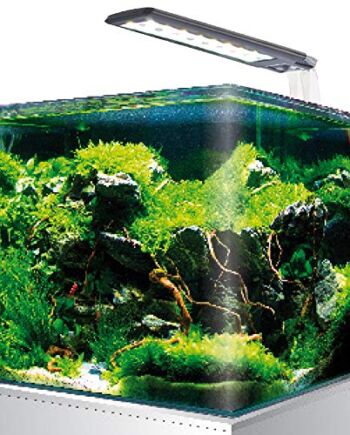 AMTRA NANOTANK SYSTEM 20 - szklane akwarium w komplecie ze światłem LE