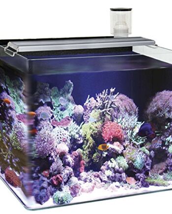 Ocean Free AT641 A Nano akwarium morskie