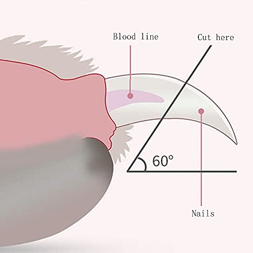 CINY Obcinacz do Paznokci dla Psa i Kota z Lampką LED, z pilnikami do paznokci dla małych psów Koty Ptaki Królik Świnka morska, Nożyczki do paznokci Zwierząt Pazury Obcinacz do paznokci, różowy - obrazek 4