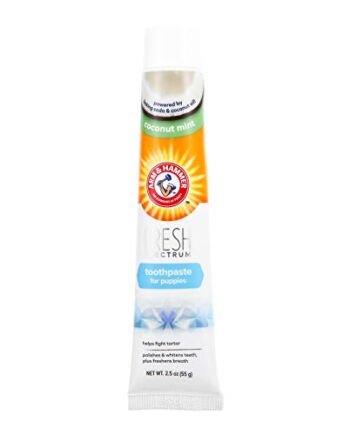 Arm & Hammer Fresh Coconut Mint Toothpaste Puppy