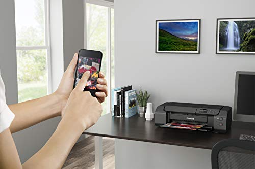 Canon PIXMA PRO-200 kolorowa drukarka atramentowa, drukarka fotograficzna DIN A3+ (druk na wysoki połysk, WLAN, USB 2.0, WiFi, LAN, aplikacja Print App, kolorowy wyświetlacz LCD 7,5 cm, 4800 x 2400 DPI, 8 oddzielnych drukarek), szara - obrazek 6