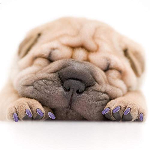 Hffheer Nakładki na paznokcie dla psów, 100 sztuk, kolorowe, miękkie nakładki na pazury dla zwierząt domowych, do kontroli łap za pomocą kleju i aplikatorów, fioletowe L - obrazek 8