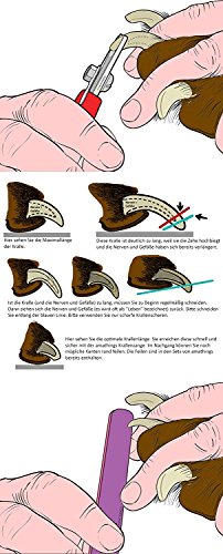 AMATHINGS Nożyce do pazurów z miękkim uchwytem, szczypce do pazurów, p - obrazek 5