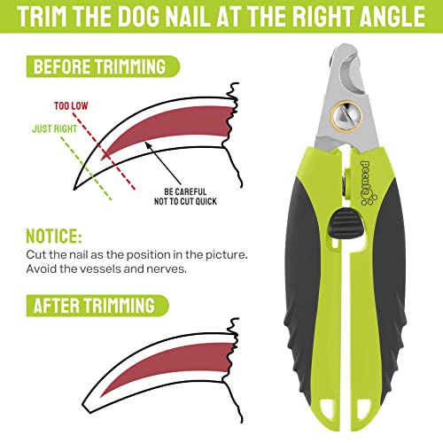 pecute Nożyce do pazurów dla psów i kotów, z pilnikiem do paznokci, profesjonalna pielęgnacja pazurów ze stali nierdzewnej, szczypce do pazurów dla psów, z ochroną bezpieczeństwa - obrazek 4