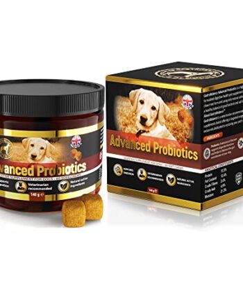 Probiotyki dla psów - 60 miękkie gryzaki zaawansowane prebiotyki i pro