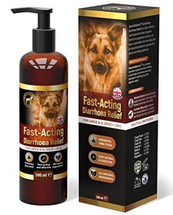 GastroBalance szybko działająca ulga na biegunkę u psów – naturalne leczenie biegunki psów z natychmiastowymi rezultatami