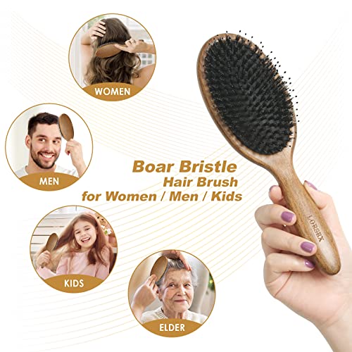 LORSEX Drewniana szczotka do włosów z włosiem dzika i węzeł wygładzający masaż grzebień do włosów poduszka powietrzna szczotka do włosów w buku (kawowy brąz) - obrazek 4