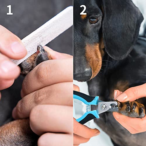 Myuilor Obcinacz do paznokci dla psów i kotów, z szybkim czujnikiem, ostrymi jak brzytwa ostrzami, zabezpieczenie przed przecięciem, gratis pilnik do paznokci, profesjonalna i bezpieczna pielęgnacja sierści w domu - obrazek 2