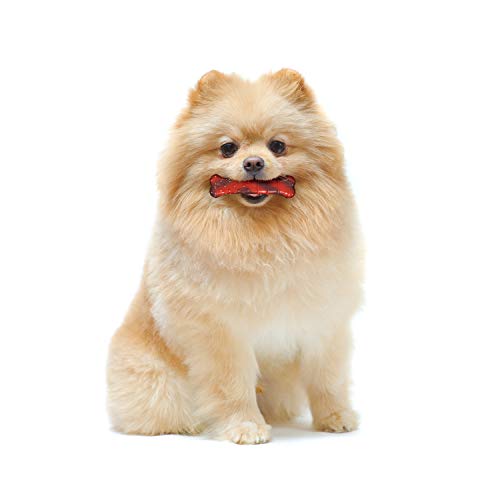 Strukturyzowany Nylabone Dura Chew wołowina Jerky-Power-Chew – kość do żucia dla bardzo mocno żuących psów, rozmiar XS, dla psów do 7 kg - obrazek 4