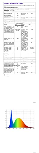 Reflektor LED 100W, wodoszczelny IP66 reflektor zewnętrzny 10000 lm, 6500K zimna biel, do ogrodu, garażu, na plac sportowy, do parkingu, na taras, oświetlenie - obrazek 2