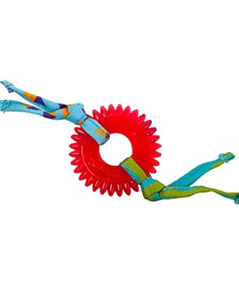 Petstages Dental Kitty Chew Wheel - Zabawka dla kotów z kocimiętką - w