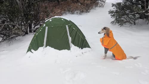 Clostnature 3 Sezonowy Namiot na Kemping - Wodoodporny Namiot Zewnętrzny dla 2 Osób, Ultralekki Namiot Trekkingowy, Kompaktowy Namiot z Małym Rozmiarem Opakowania dla Rodziny, Plaży, Festiwalu, Grupy - obrazek 5