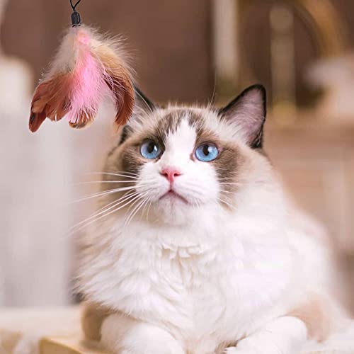 MIVAIUN Zabawka dla kota z piórami, zabawka dla kota, zabawki z piórami dla kotów, interaktywna łapacz kotów i różdżka do ćwiczeń dla kotów i kociąt, interaktywna różdżka dla kota z dzwonkami i piórami (2 sztuki) - obrazek 4