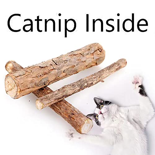 Patyczek do zabawy dla kota mycie zębów kot mięta - obrazek 2