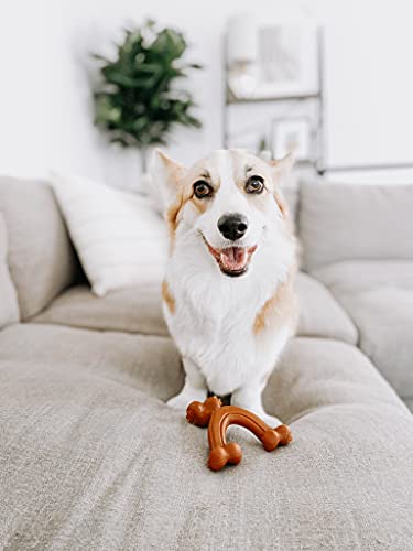 Nylabone Ekstremalnie wytrzymały pies zabawka do żucia, wishbone bizon, duży, dla psów do 23 kg - obrazek 2