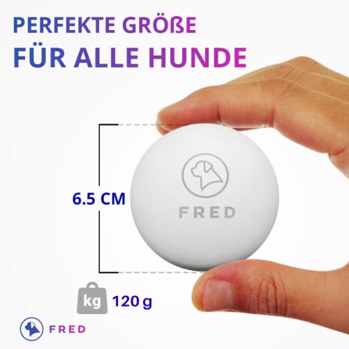 FRED Piłka dla psa premium z naturalnego kauczuku – bardzo wytrzymała piłka do zabawy dla psów – biała – prawie niezniszczalna – Ø 6,5 cm wraz z praktyczną torbą do przechowywania… - obrazek 5