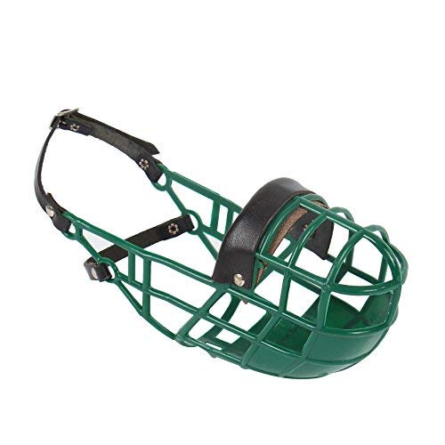 Don Pare Kaganiec model 101 w kolorze ciemnozielonym do picia, zawsze możliwe, idealny do wolnego biegu, kennel, ów, psów, samochodów, hamulców trujących od Amathings