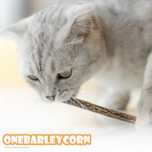 onebarleycorn - Patyczki kocie koty, szlifowanie zębów zabawka do żucia dla kota kociaka 100% organiczne naturalne matatabi stomatologiczne, opakowanie 30 szt. - obrazek 2
