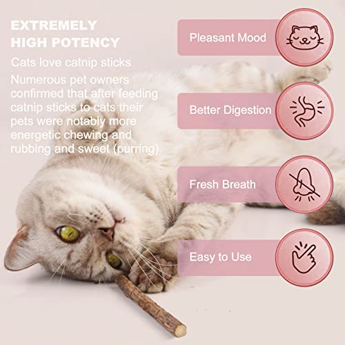 onebarleycorn - Patyczki kocie koty, szlifowanie zębów zabawka do żucia dla kota kociaka 100% organiczne naturalne matatabi stomatologiczne, opakowanie 30 szt. - obrazek 6