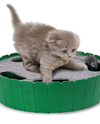 Pawaboo Interactive Cat Toy With Running Mouse, Electronic Motion Auto