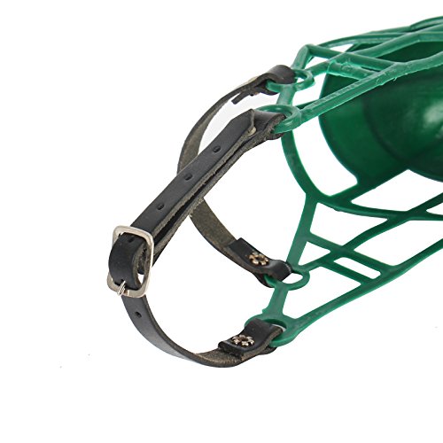 Don Pare Kaganiec model 101 w kolorze ciemnozielonym do picia, zawsze możliwe, idealny do wolnego biegu, kennel, ów, psów, samochodów, hamulców trujących od Amathings - obrazek 4