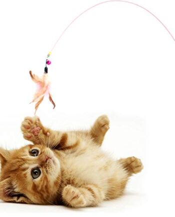 DIGIFLEX Koty dmuchana wędka z dzwonkiem i piórami 91 cm - interaktywn