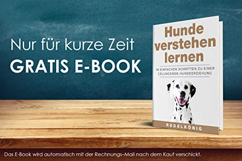 Rudelkönig piłka dla psa z naturalnego kauczuku - Niebieska piłka o średnicy 6,5 cm - Prawie niezniszczalna zabawka dla psa wraz z praktyczną torbą do przechowywania - obrazek 2