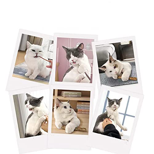 Patyczek do zabawy dla kota mycie zębów kot mięta - obrazek 3