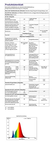 Lampy do zabudowy na zewnątrz, zestaw 10 lamp LED do wbudowania w podłogę do użytku na zewnątrz z kontrolerem Tuya Smart Life (RGB + ciepłe światło), DC12 V, Ø 45 mm, wys. 26 mm, IP67, wodoszczelne oświetlenie tarasowe do ogrodu, drewnianego mostu i basenu - obrazek 3