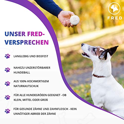 FRED Piłka dla psa premium z naturalnego kauczuku – bardzo wytrzymała piłka do zabawy dla psów – biała – prawie niezniszczalna – Ø 6,5 cm wraz z praktyczną torbą do przechowywania… - obrazek 2