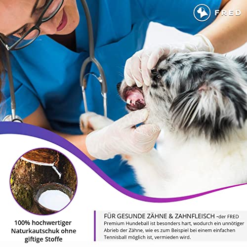 FRED Piłka dla psa premium z naturalnego kauczuku – bardzo wytrzymała piłka do zabawy dla psów – biała – prawie niezniszczalna – Ø 6,5 cm wraz z praktyczną torbą do przechowywania… - obrazek 4