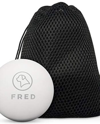 FRED Piłka dla psa premium z naturalnego kauczuku – bardzo wytrzymała piłka do zabawy dla psów – biała – prawie niezniszczalna – Ø 6,5 cm wraz z praktyczną torbą do przechowywania…
