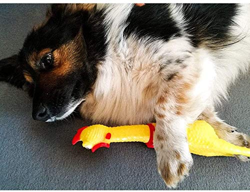 ProLeo 4 sztuki gumowych piszących kur, zabawka żółta, guma, piszczenie kur, nowość i trwała guma kurczak, gadżet do dekompresji - obrazek 2