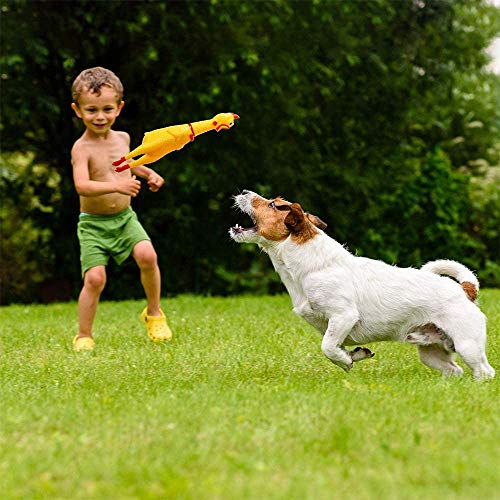 ProLeo 4 sztuki gumowych piszących kur, zabawka żółta, guma, piszczenie kur, nowość i trwała guma kurczak, gadżet do dekompresji - obrazek 3