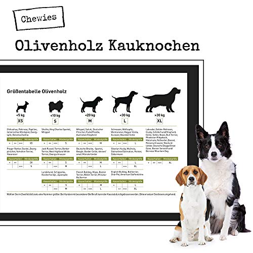 Chewies Kości do żucia zabawka dla psów z drewna oliwkowego dla psów - - obrazek 5