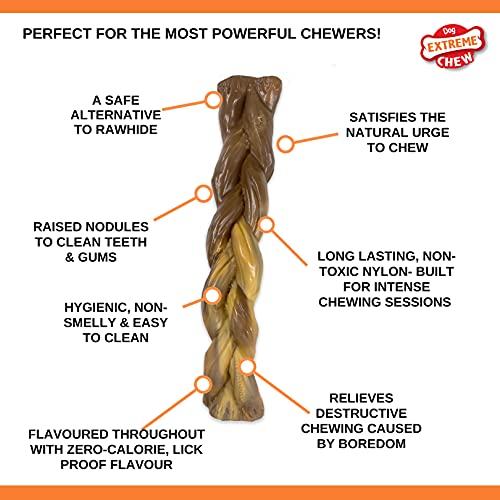 Nylabone Ekstremalnie wytrzymały pies zabawka do żucia, pleciony kijek byka, smak wołowiny, nieuporządkowany, duży, dla psów do 23 kg - L - obrazek 5