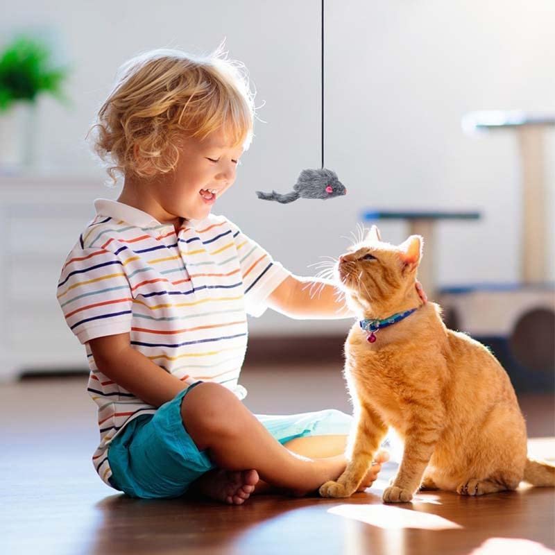 Interaktywna zabawka dla kota 2 w 1, interaktywna zabawka dla kotów, do futryny drzwi, interaktywna zabawka dla kota z przyssawką, pluszowa mysz do futryny drzwi - obrazek 3