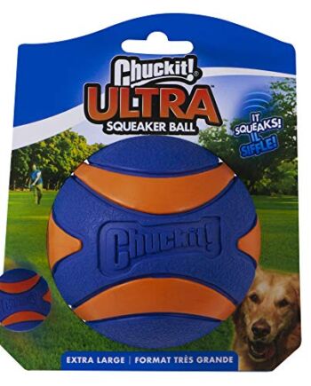 Chuckit! Ultra Squeaker Piszcząca piłka dla psa, zabawka dla psa, bard