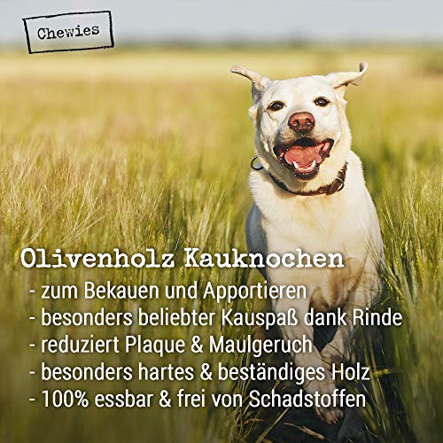 Chewies Kości do żucia zabawka dla psów z drewna oliwkowego dla psów - - obrazek 6